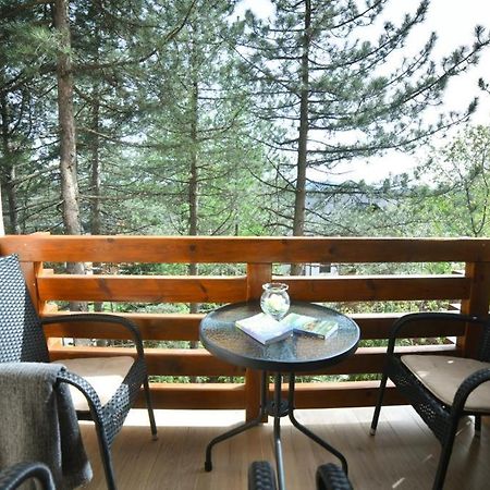 Apartman Silver Lux Zlatibor Exterior foto